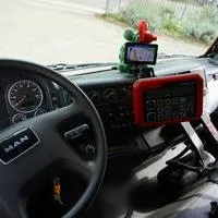 LF 10