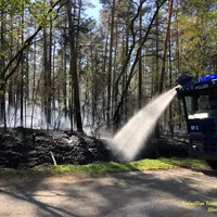 waldbrand_1.png