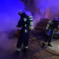 silvester_4.jpg