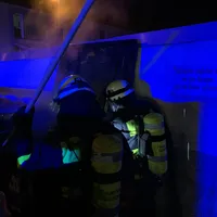 silvester_7.jpg