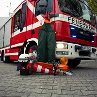 Symbolbild-THL-Baum.jpg