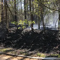 waldbrand_2.png
