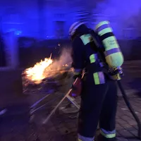 silvester_3.jpg
