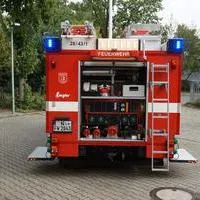 LF 10